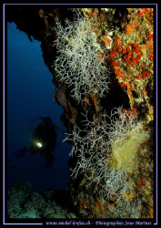 The entrance of a small cave... :O) ... by Michel Lonfat 